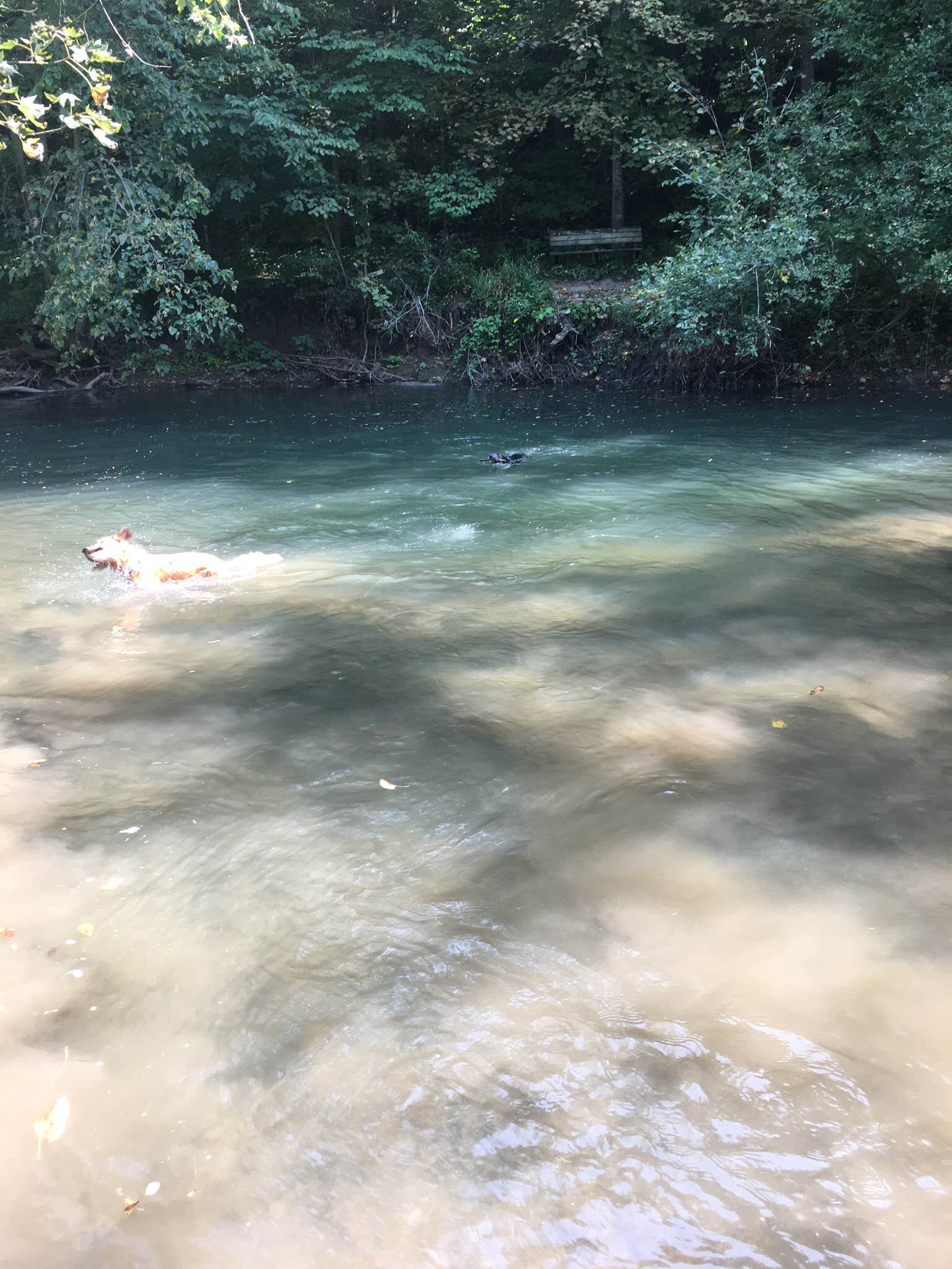 Camper submitted image from Carley State Park Campground - 5