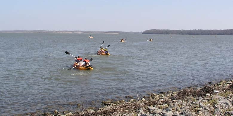 Camper submitted image from Sunflower Campground — Hillsdale State Park