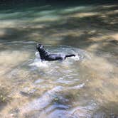 Review photo of Carley State Park Campground by Erin L., September 16, 2017