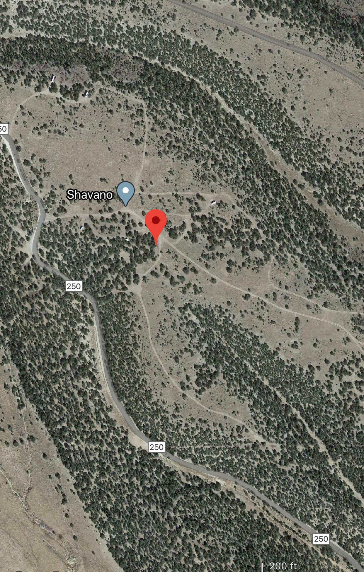 Camper-submitted photo at Mount Shavano Dispersed Camping near Poncha Springs, CO