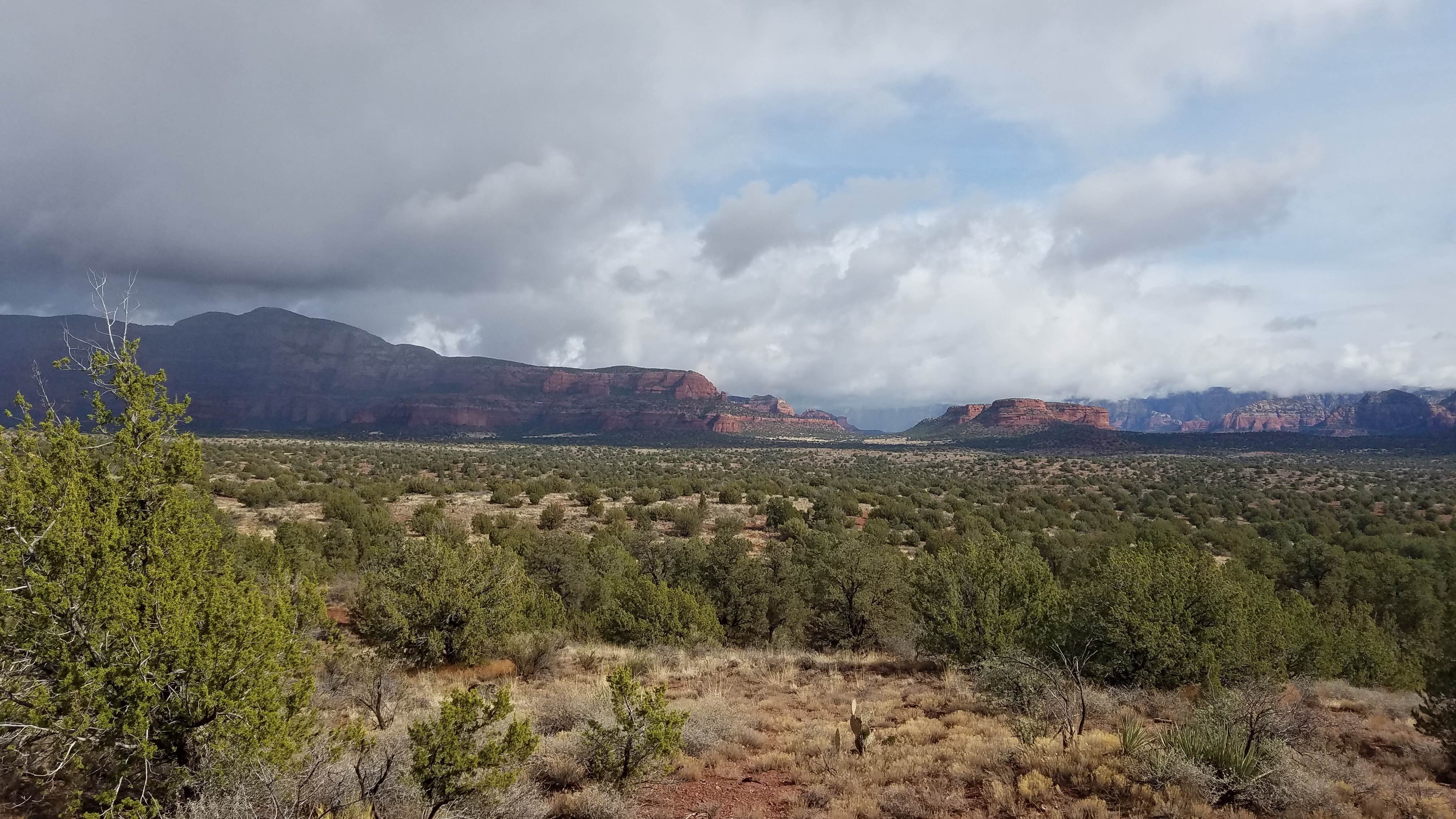 Camper submitted image from West Sedona Designated Dispersed Camping - 2