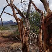 Review photo of West Sedona Designated Dispersed Camping by Laura H., April 23, 2020