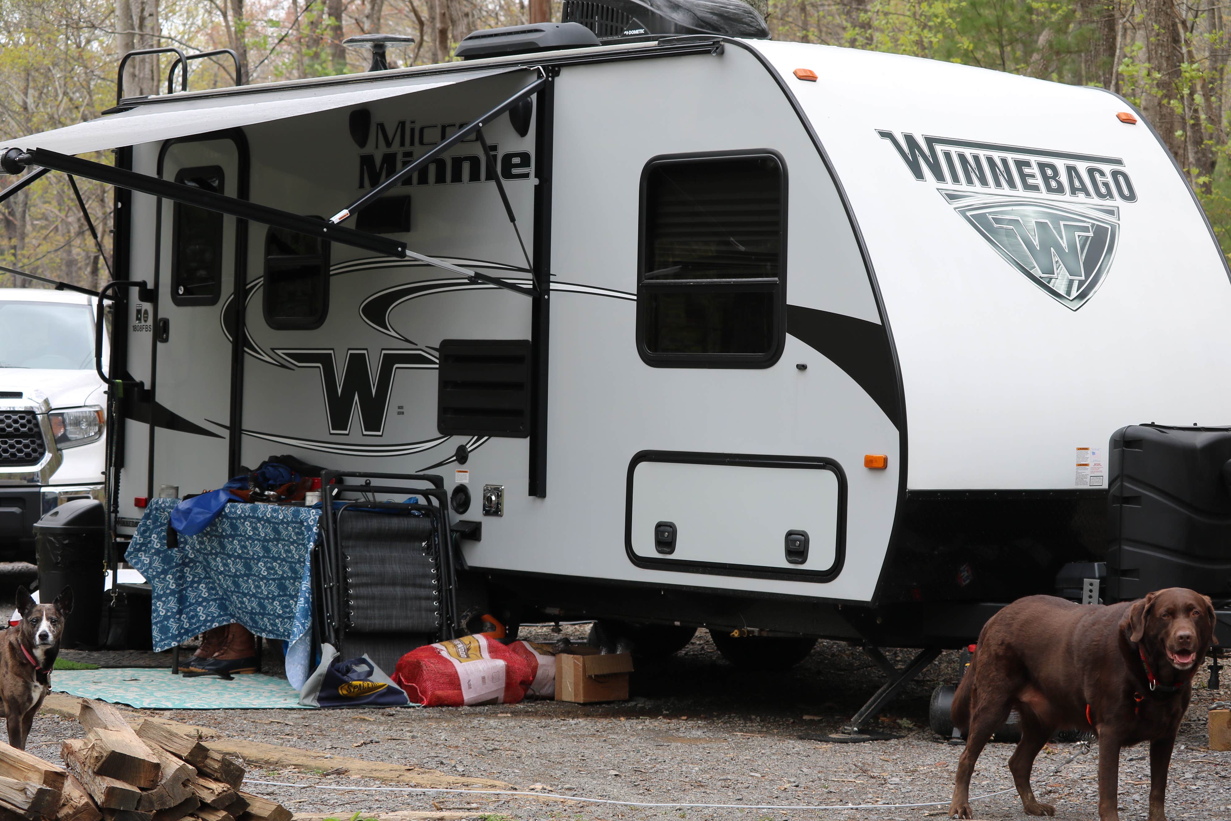 Robert  T.'s photo of camping with pets at Fort Mountain State Park Campground near Chatsworth, GA