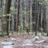 Review photo of Fort Mountain State Park Campground by Robert  T., April 23, 2020