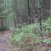 Review photo of Fort Mountain State Park Campground by Robert  T., April 23, 2020