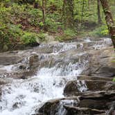 Review photo of Fort Mountain State Park Campground by Robert  T., April 23, 2020