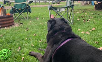 Ashley D.'s photo of camping with pets at Giles Swanlake Campground near Portage, MI