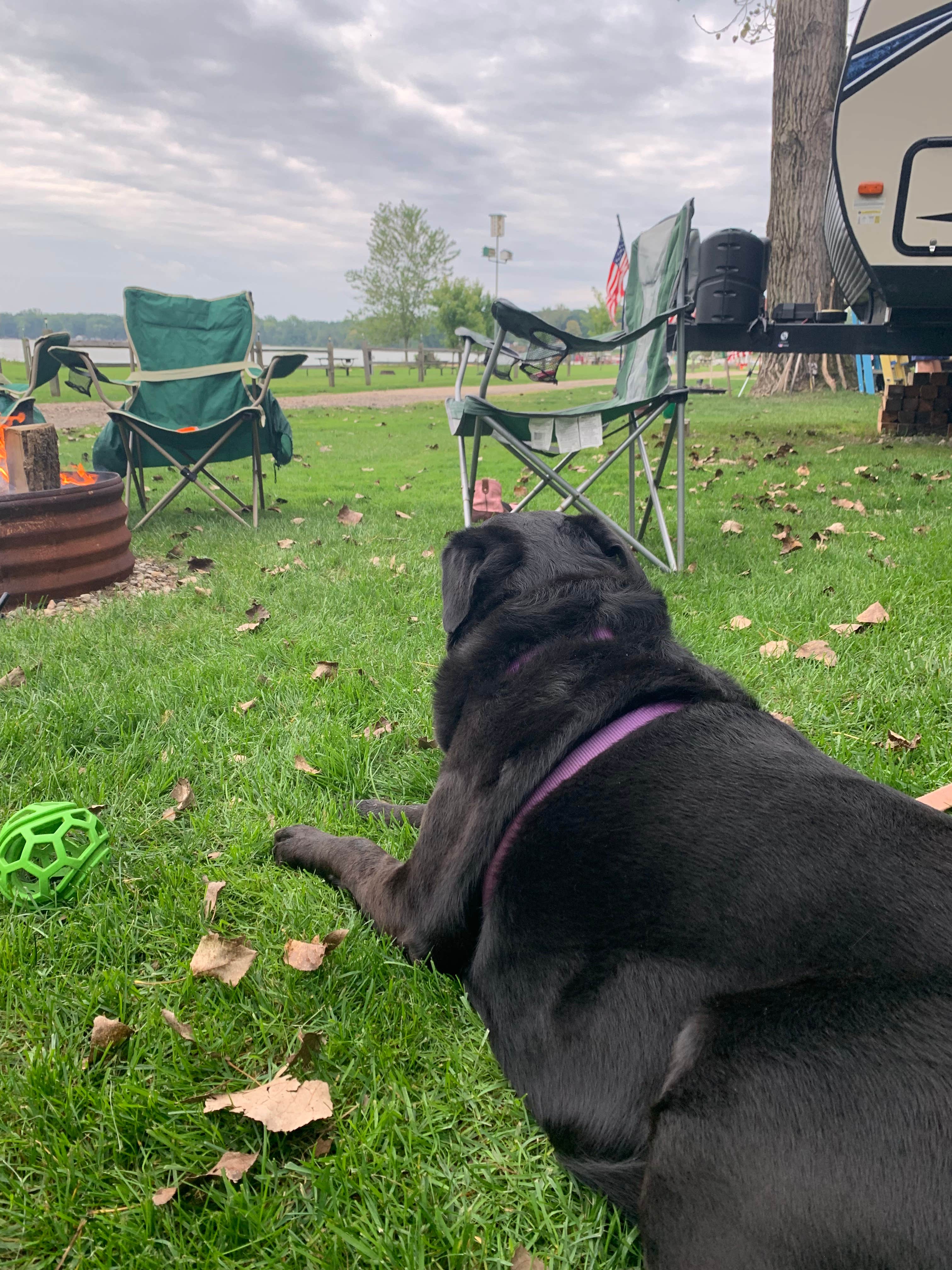Camper-submitted photo at Giles Swanlake Campground near Nazareth, MI