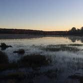 Review photo of Black Moshannon State Park Campground by Ann P., July 25, 2019