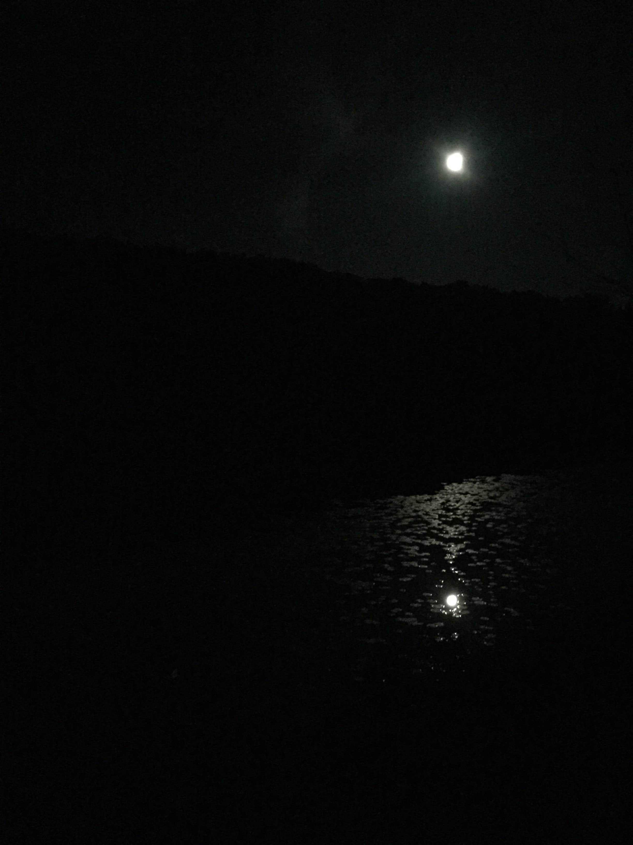 Camper-submitted photo at Black Moshannon State Park Campground near Lemont, PA