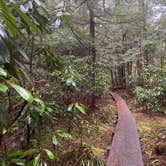 Review photo of Black Moshannon State Park Campground by Ann P., July 25, 2019