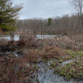 Review photo of Black Moshannon State Park Campground by Ann P., July 25, 2019