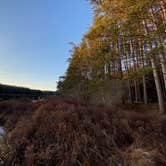 Review photo of Black Moshannon State Park Campground by Ann P., July 25, 2019