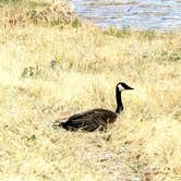 Review photo of Riana - Abiquiu Lake by Joseph W., April 23, 2020