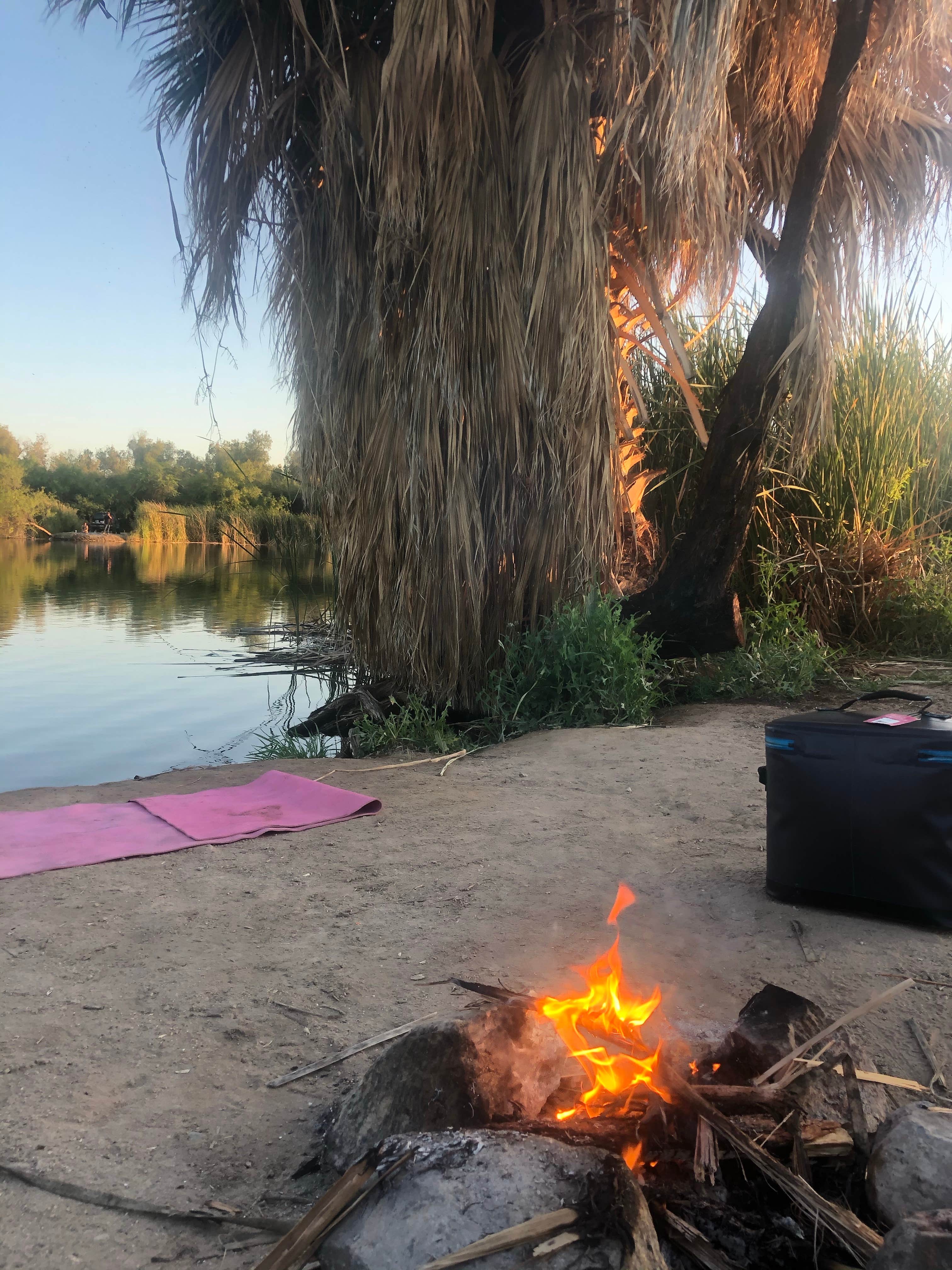 Camper submitted image from Fortuna Pond - CLOSED - 4