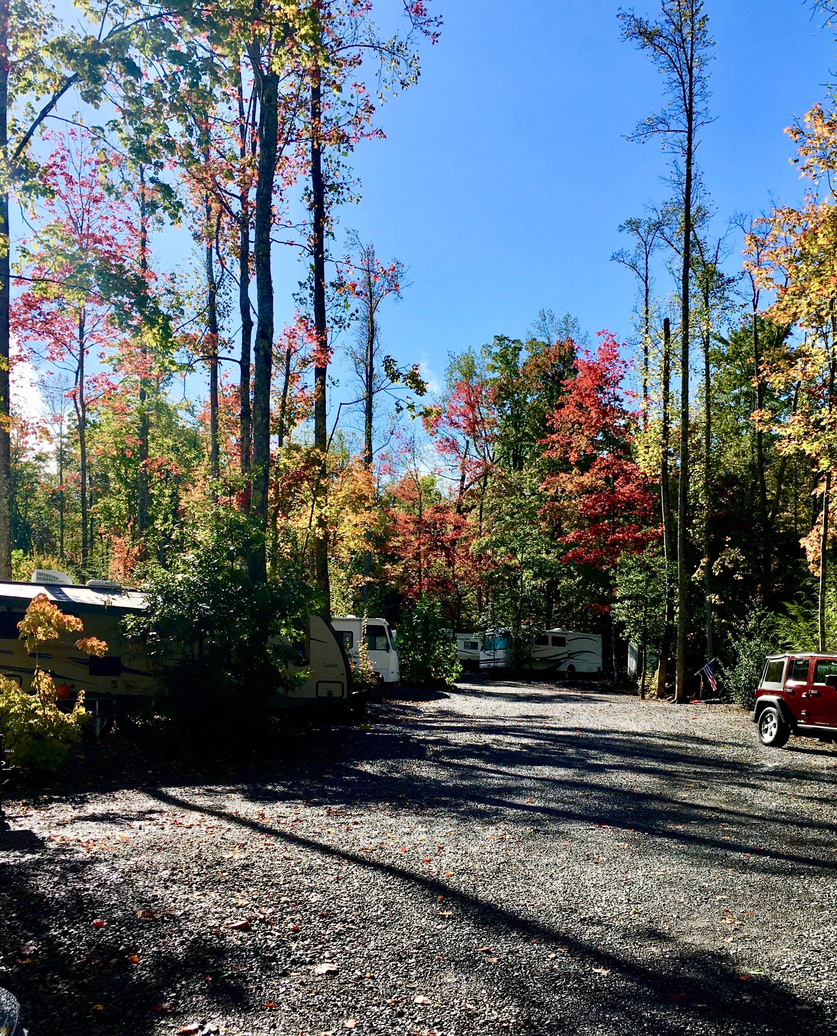 Camper submitted image from Gatlinburg East / Smoky Mountain KOA - 3