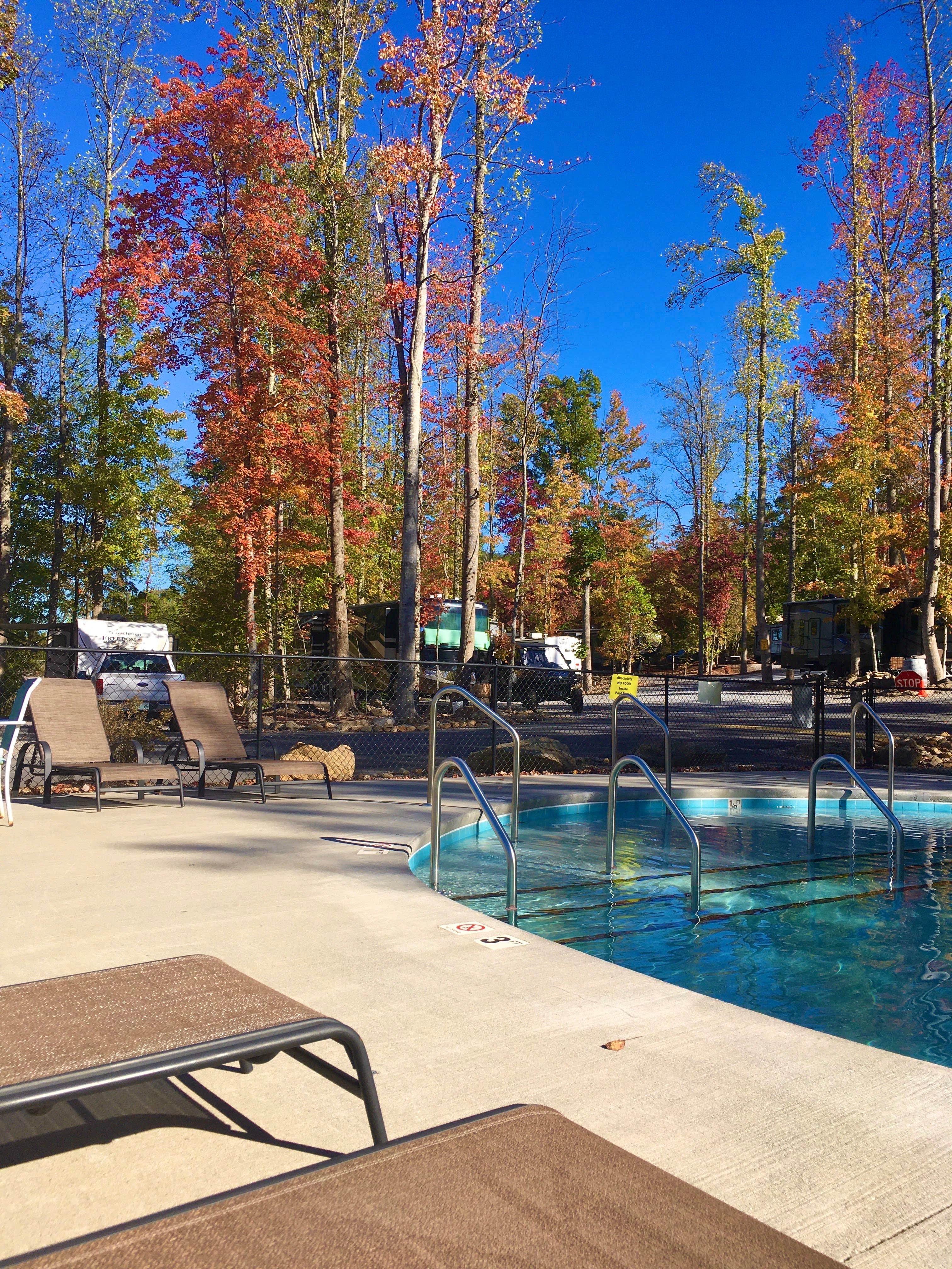 Camper submitted image from Gatlinburg East / Smoky Mountain KOA - 3
