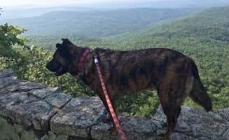 Lisa H.'s photo of camping with pets at White Rock Mountain Recreation Area near Pettigrew, AR