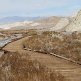 Review photo of Texas Springs Campground — Death Valley National Park by Debi R., April 24, 2020