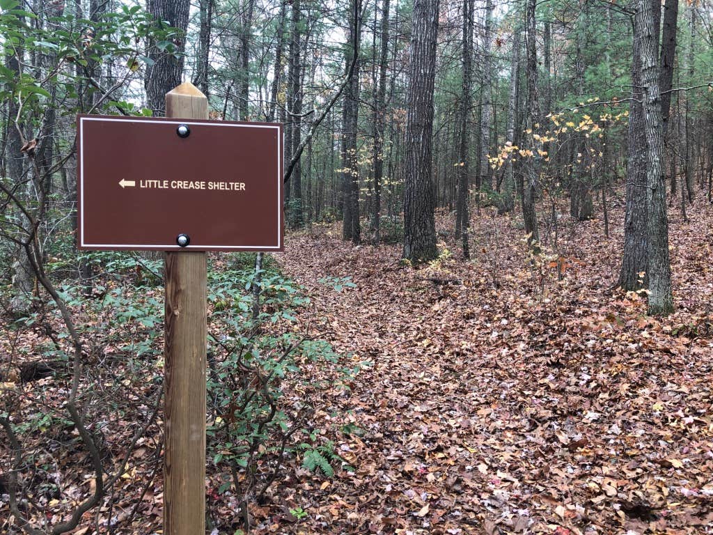 Camper-submitted photo at Little Crease Shelter near Rixeyville, VA