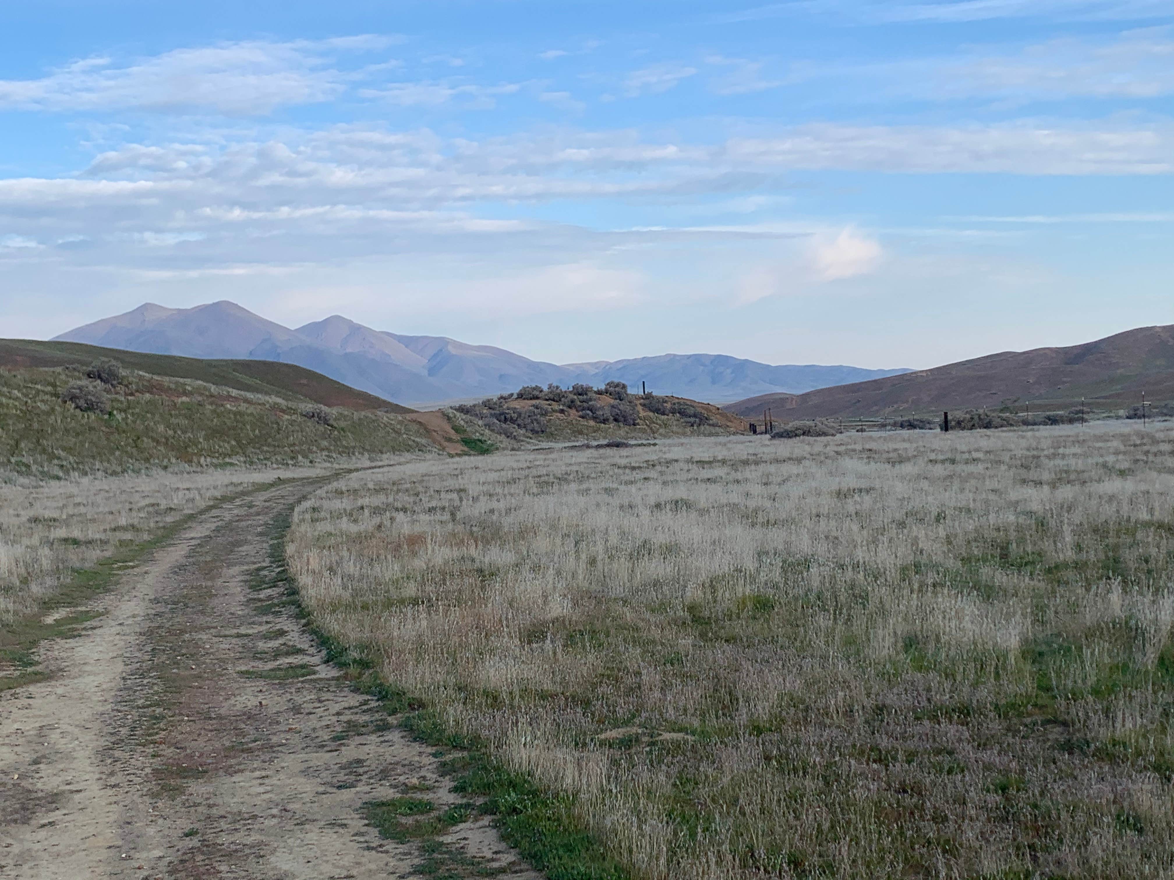 Camper submitted image from Mercey Hot Springs - 3