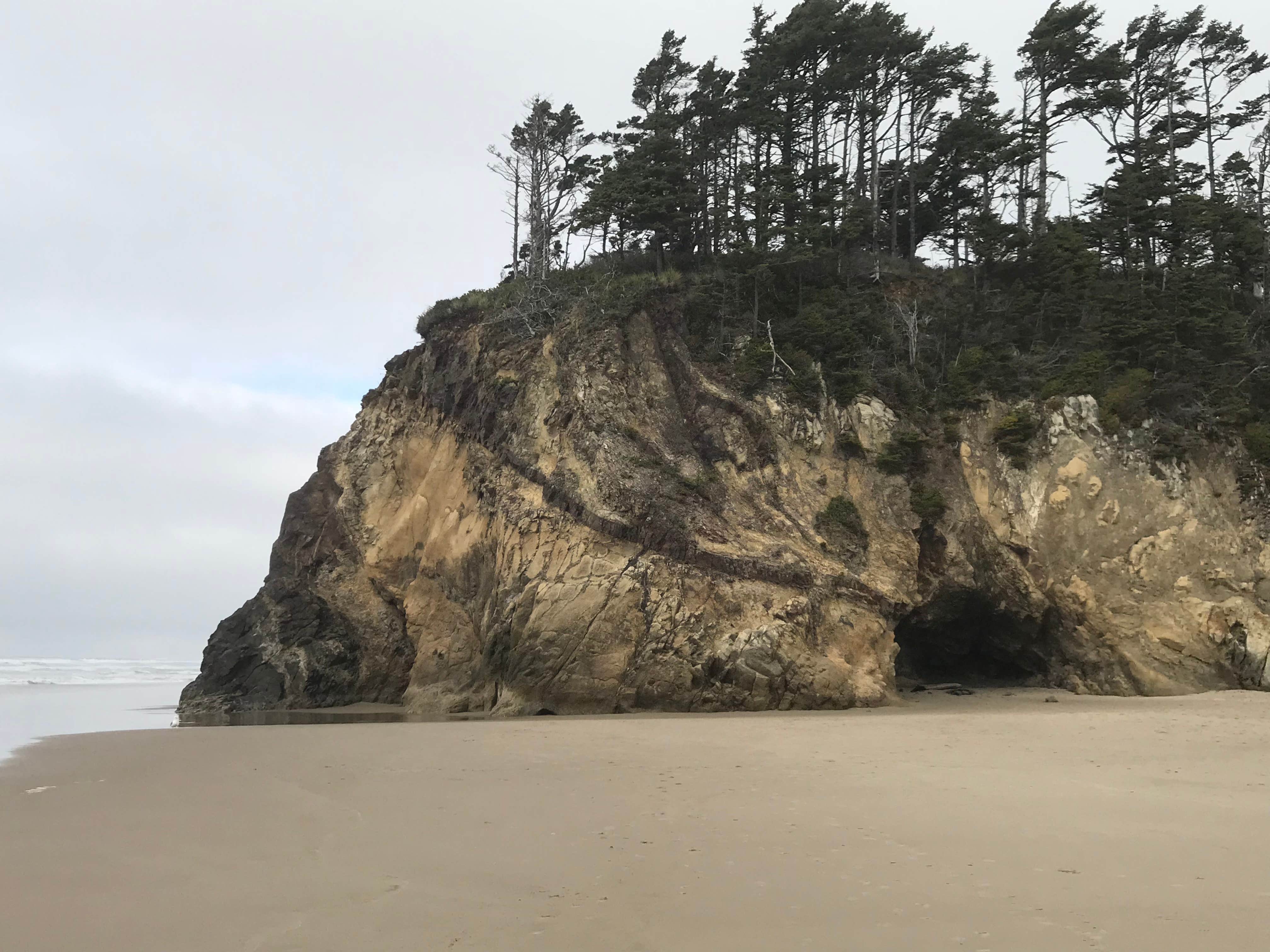 Camper submitted image from Netarts Bay RV Park & Marina - 5