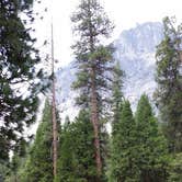 Review photo of Upper Pines Campground — Yosemite National Park by Christy C., June 30, 2016