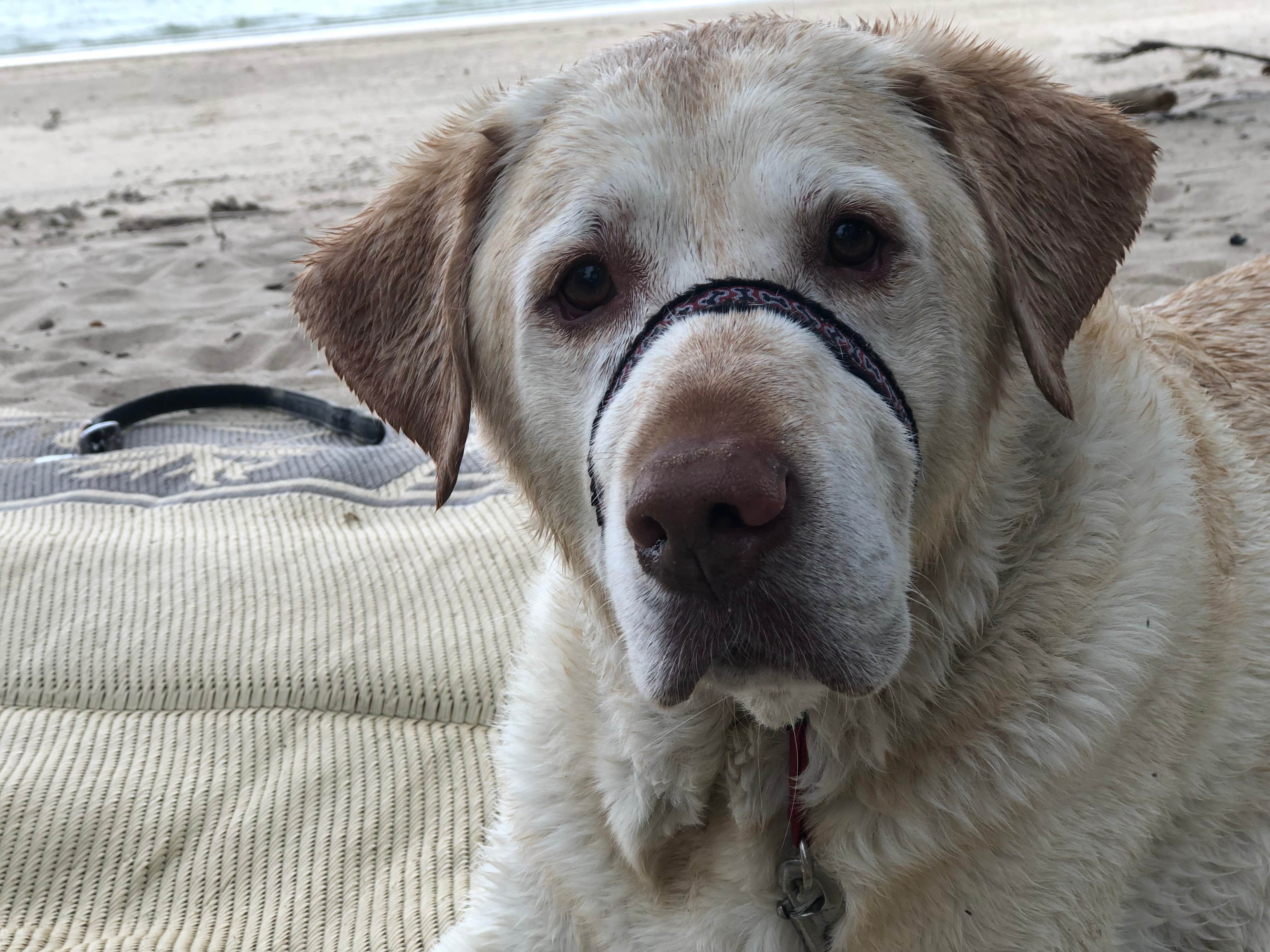 Camper-submitted photo at Prewitt Reservoir State Wildlife Area near Sterling, CO