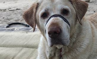 Laura H.'s photo of camping with pets at Prewitt Reservoir State Wildlife Area near Fort Morgan, CO