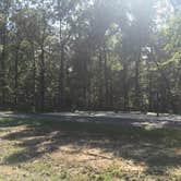 Review photo of Craighead Forest Park by Shelly S., September 17, 2017