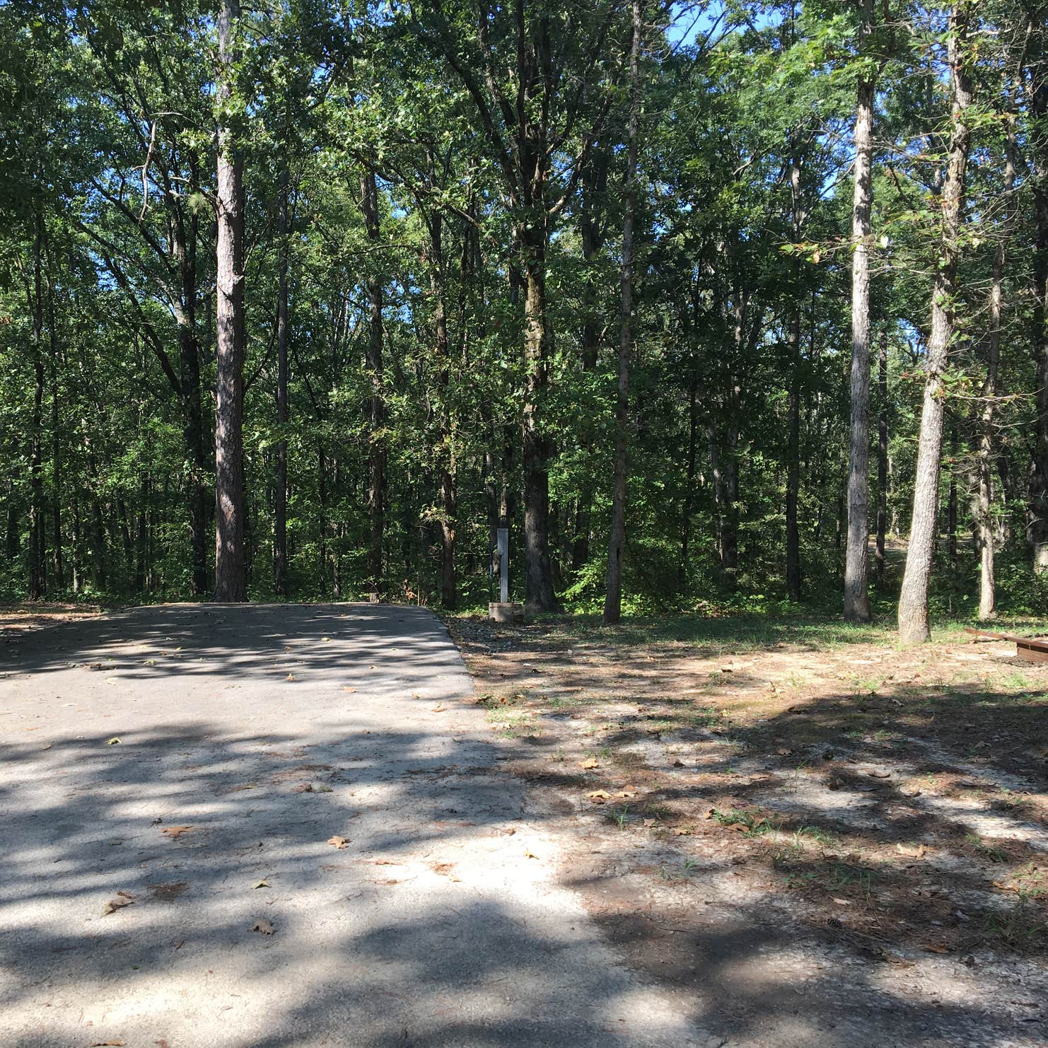 Craighead Forest Park Camping The Dyrt