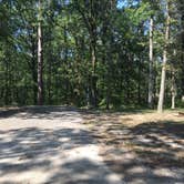 Review photo of Craighead Forest Park by Shelly S., September 17, 2017