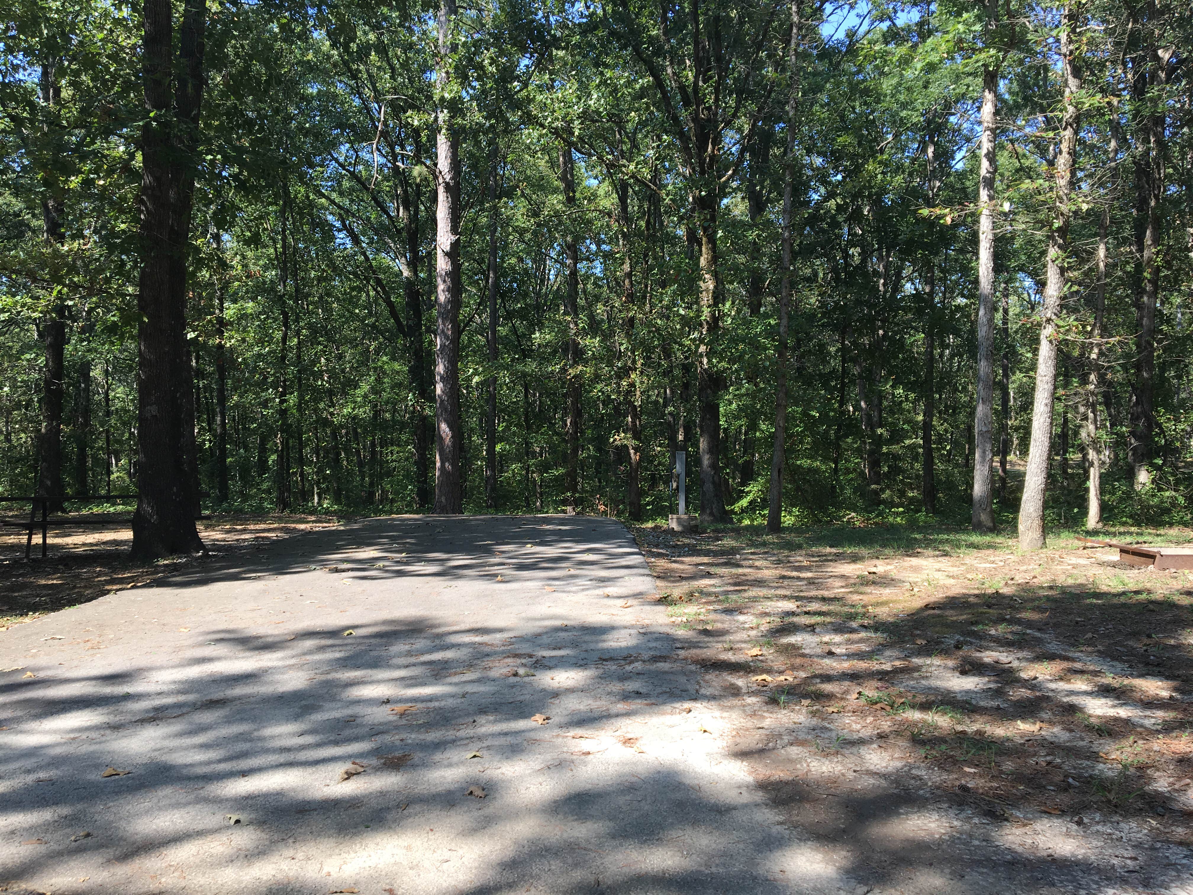 Camper submitted image from Craighead Forest Park - 3