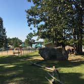 Review photo of Craighead Forest Park by Shelly S., September 17, 2017
