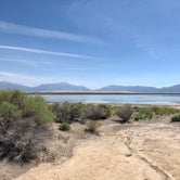 Review photo of San Luis Lakes State Wildlife Area by Laura H., April 24, 2020