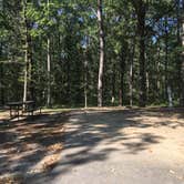 Review photo of Craighead Forest Park by Shelly S., September 17, 2017