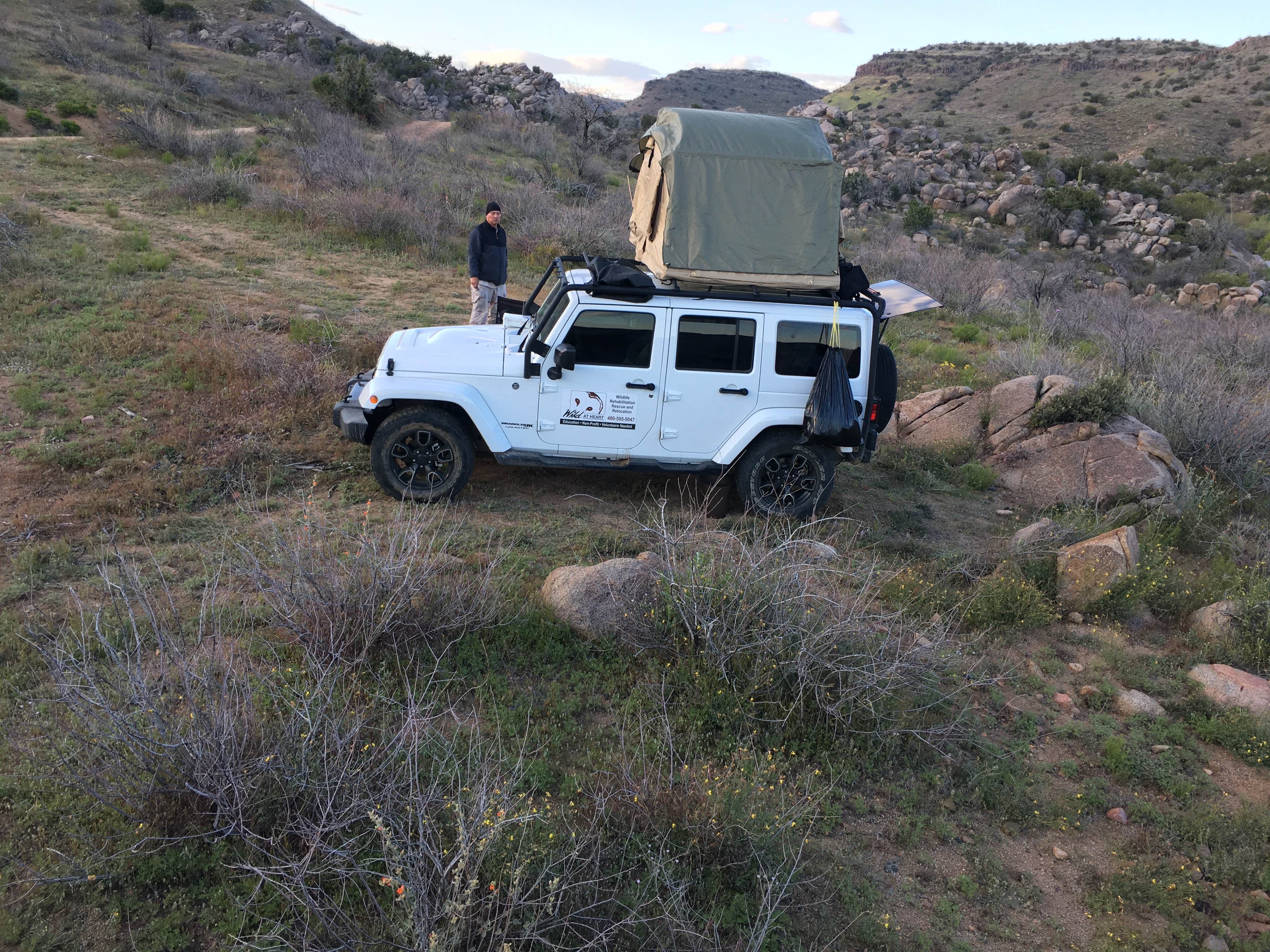 Camper submitted image from Tonto National Forest Seven Springs Campground - 5