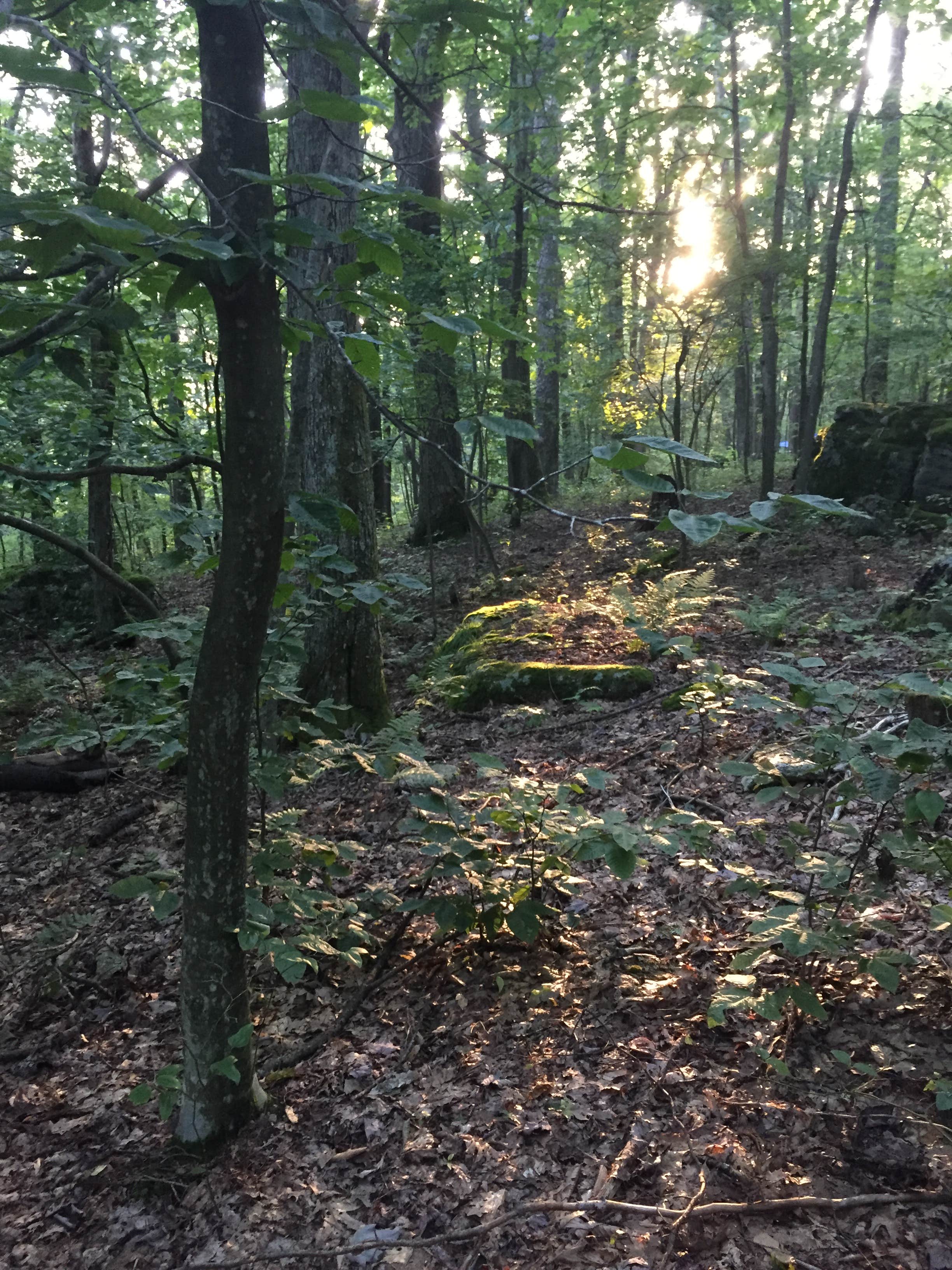 Camper-submitted photo at Bear Heaven Campground near Glady, WV