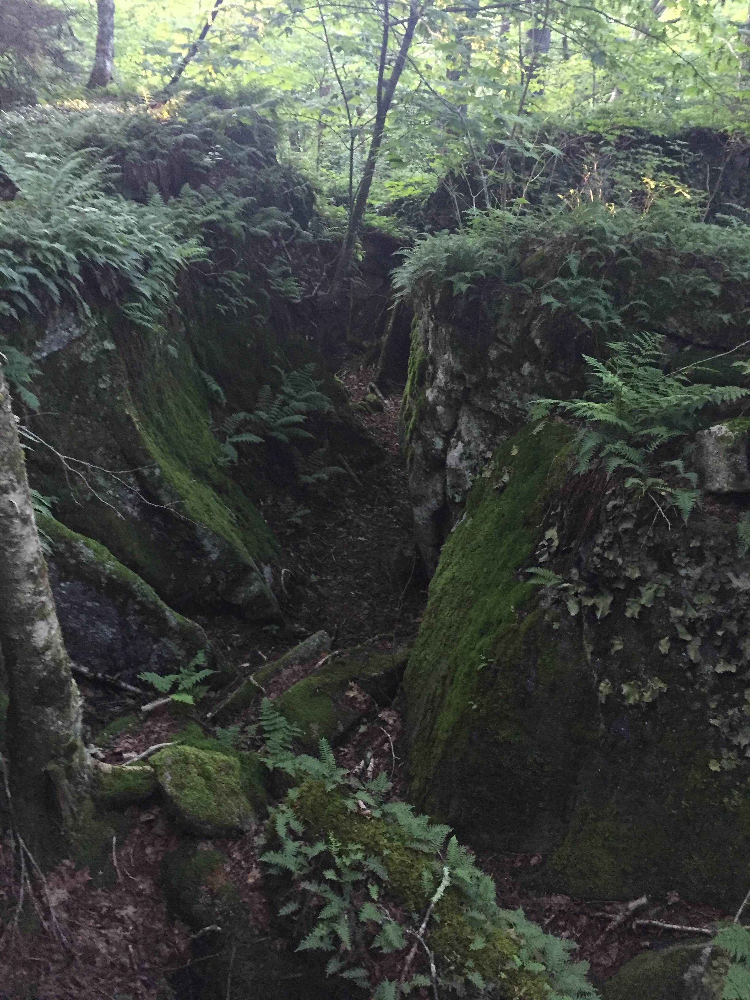 Camper-submitted photo at Bear Heaven Campground near Glady, WV
