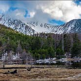 Review photo of Dry Lake Backpacking Campground by Daniel J., April 24, 2020