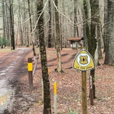 Review photo of Pine Glen Recreation Area by Frank  M., April 24, 2020