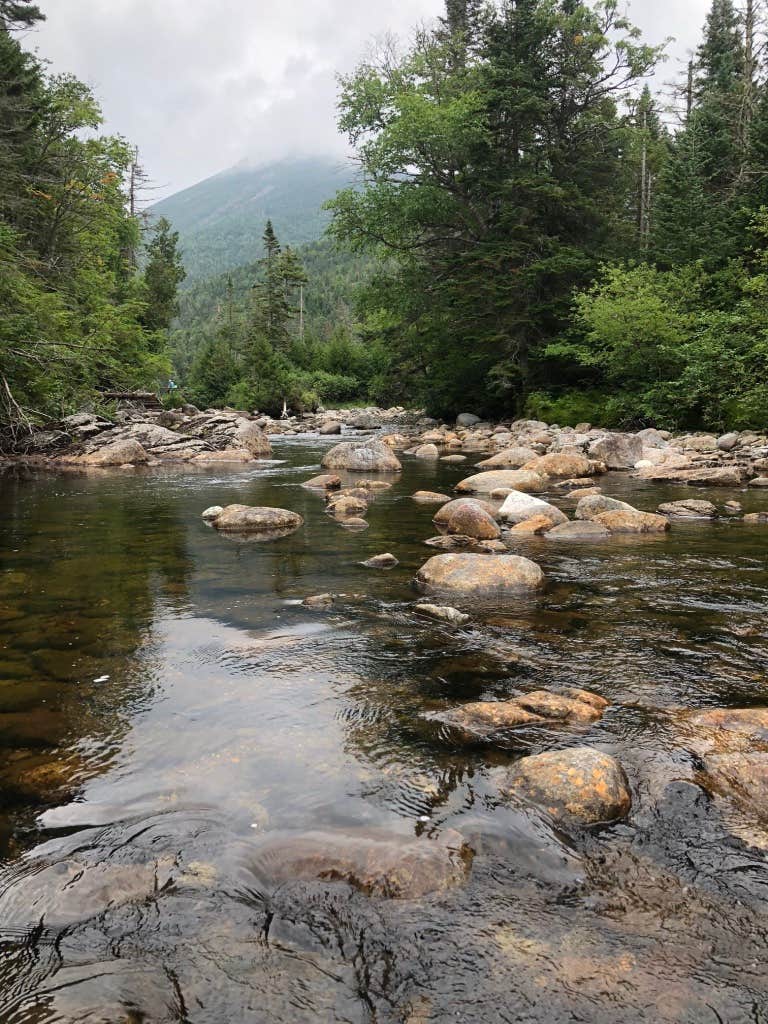 Camper submitted image from Lake Colden - 4