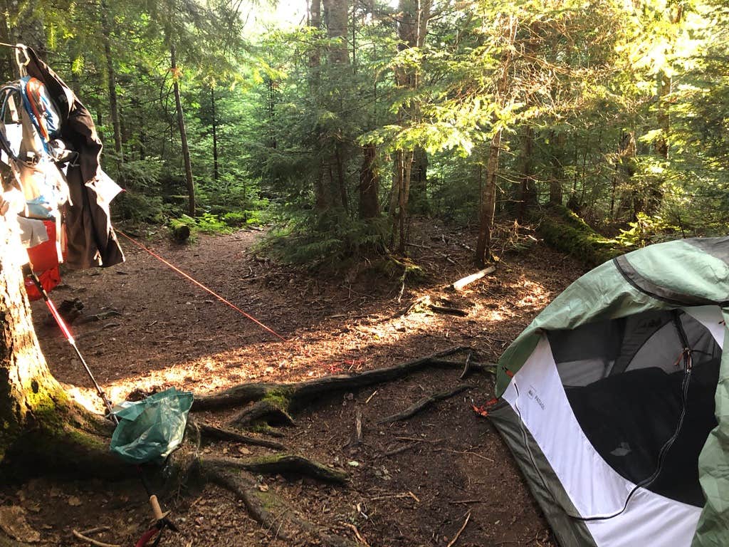 Ethan A.'s photo of tent camping at Lake Colden near Rainbow Lake, NY