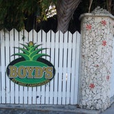 Review photo of Boyd's Key West Campground by Robin  B., April 25, 2020