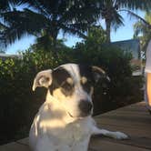 Review photo of Boyd's Key West Campground by Robin  B., April 25, 2020