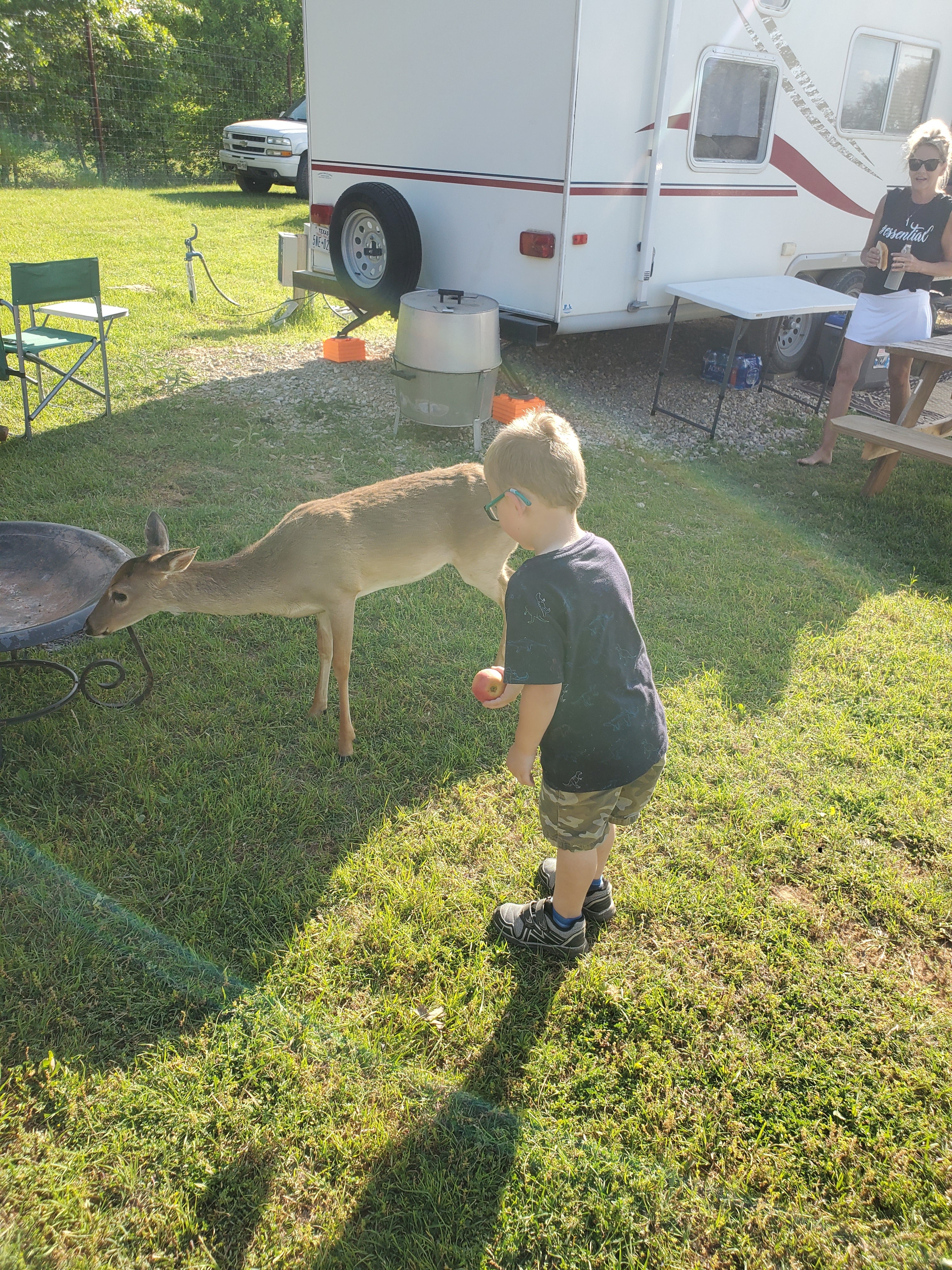 Camper submitted image from Hidden Lake RV Ranch - 5