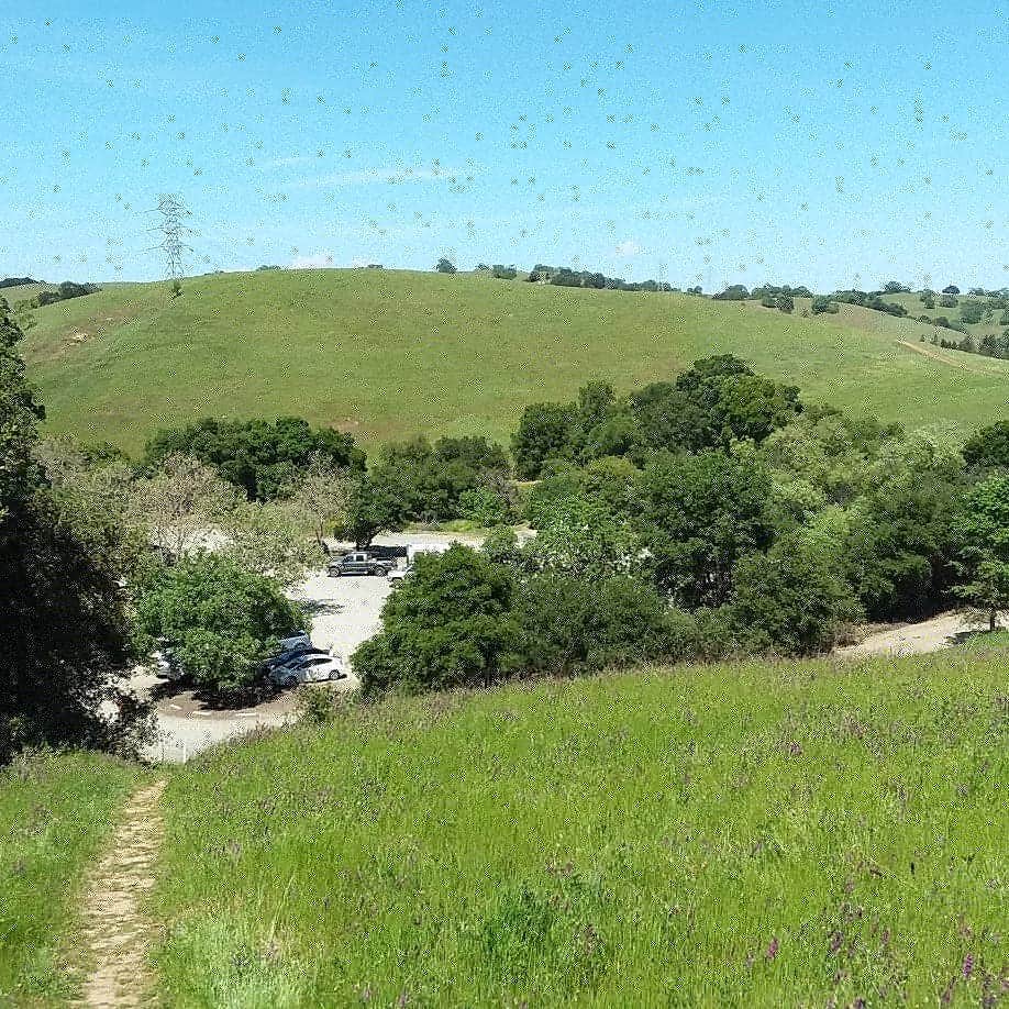 Camper submitted image from Briones Regional Park - 2