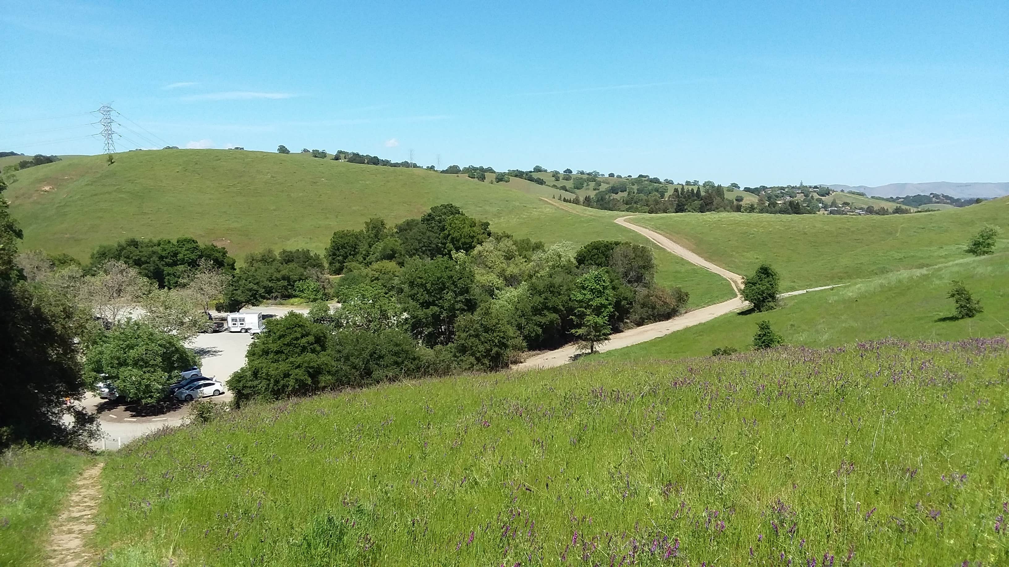 Camper submitted image from Briones Regional Park - 1