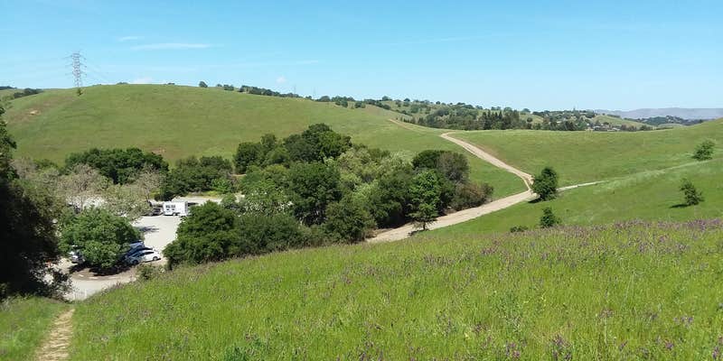 Camper submitted image from Briones Regional Park