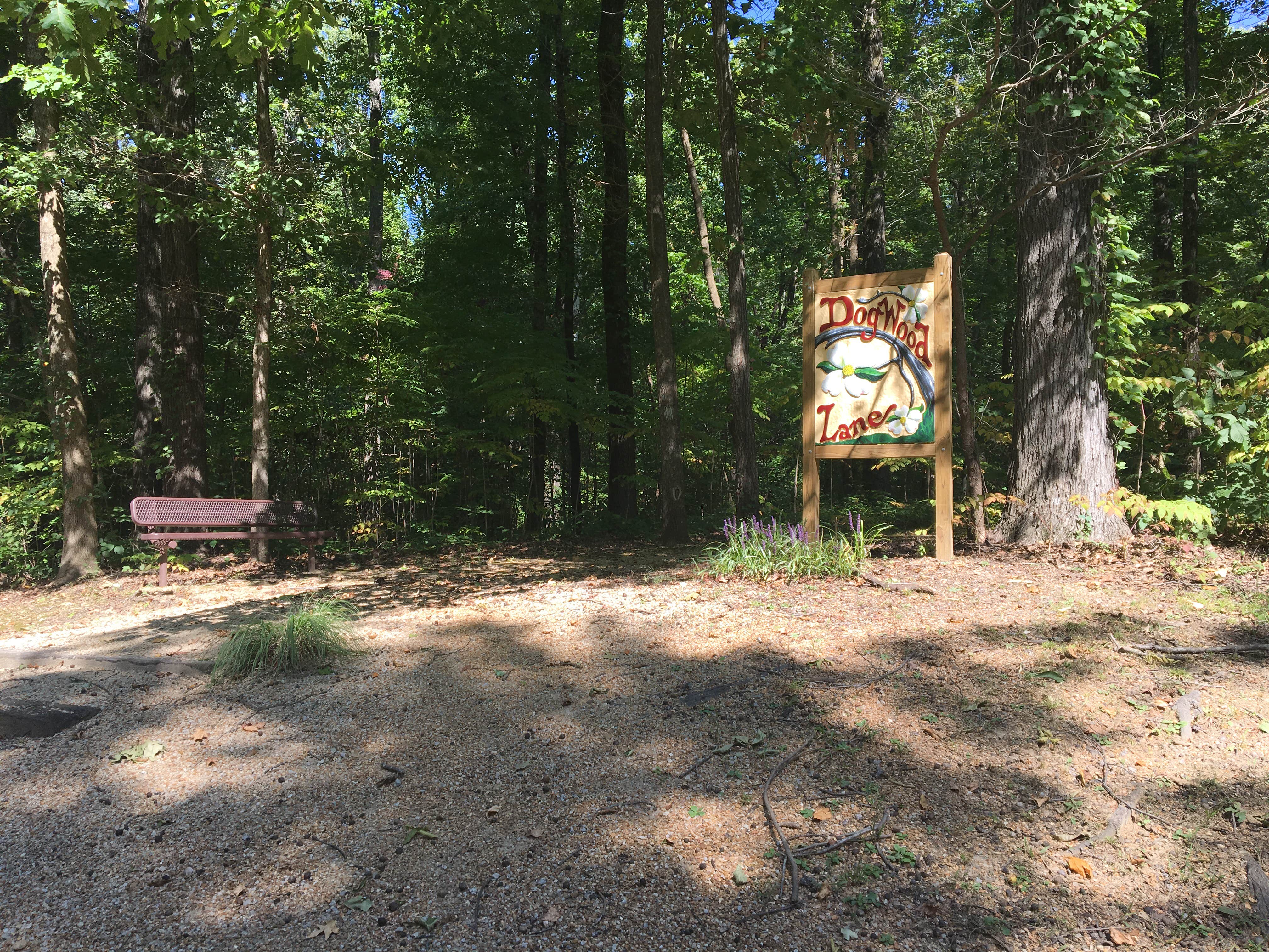 Camper submitted image from Lake Frierson State Park Campground - 4